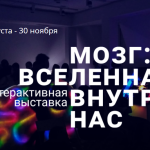 Мозг: Вселенная внутри нас
