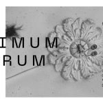Выставочный проект ULTIMUM ASTRUM